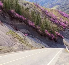 ополнительное фото тура 