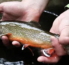 ополнительное фото тура 