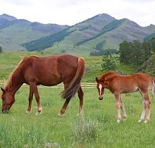 ополнительное фото тура 