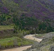 ополнительное фото тура 