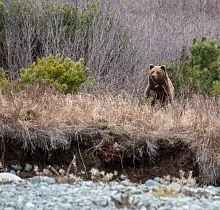 ополнительное фото тура 