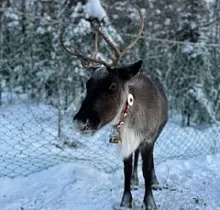 ополнительное фото тура 