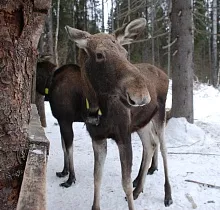 ополнительное фото тура 