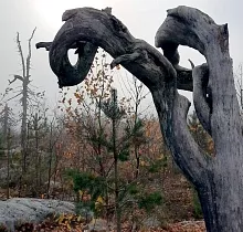 ополнительное фото тура