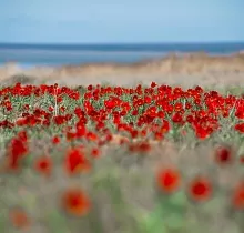 ополнительное фото тура