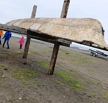Фото дня 7 тура Наблюдение за промыслом, Мыс Дежнева