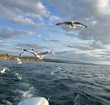 ополнительное фото тура 