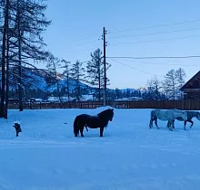 ополнительное фото тура 