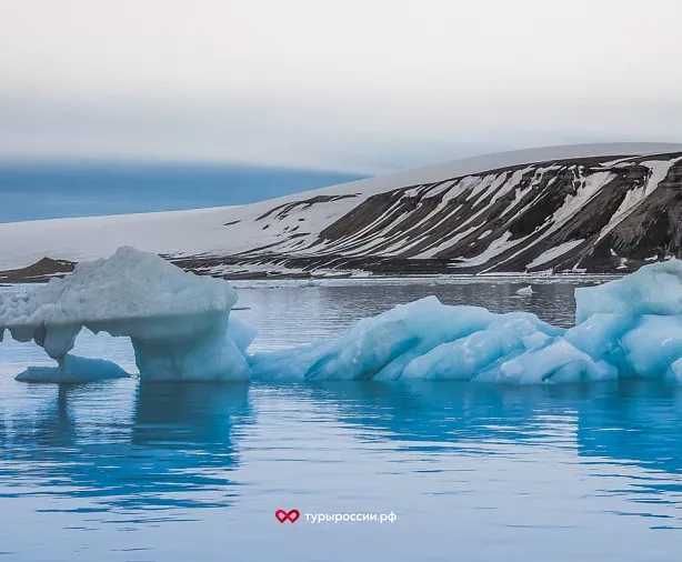 Изображение статьи Где в российской Арктике можно увидеть моржей? Туры России