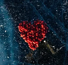 ополнительное фото тура