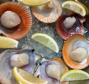 Владивосток – гастрономическая столица Приморья