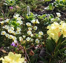 ополнительное фото тура 