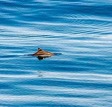 Фото дня 12 тура Сахалин, Итуруп, Шикотан и Кунашир с вулканом Тятя