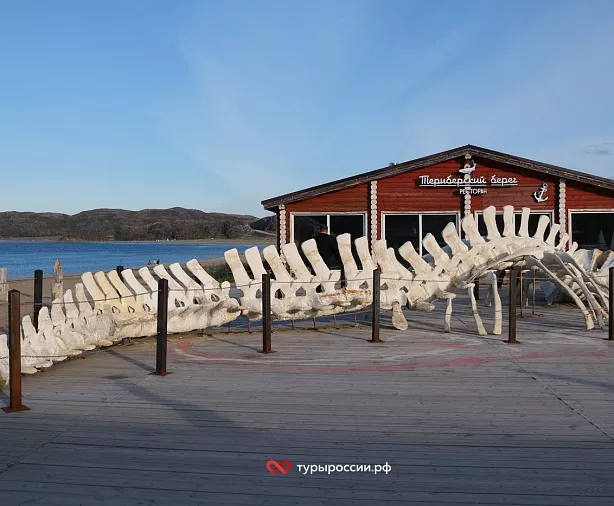 Изображение статьи Отдых в Териберке: как добраться, где жить, что посмотреть Туры России