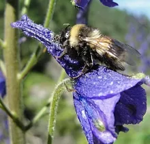 ополнительное фото тура 