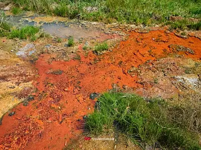 Южная Осетия