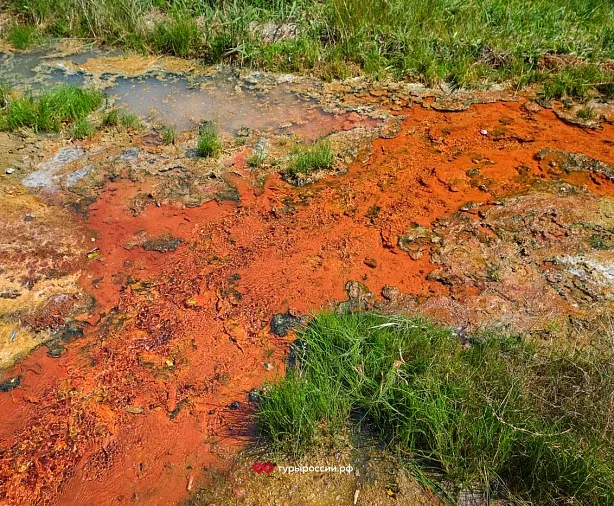 Изображение статьи Оздоровительный отдых в Южной Осетии: минеральные воды, санатории и горный климат Туры России