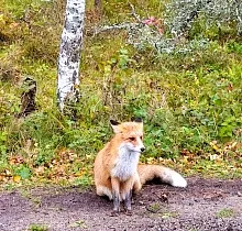 ополнительное фото тура 