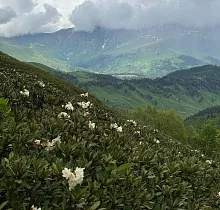 ополнительное фото тура 