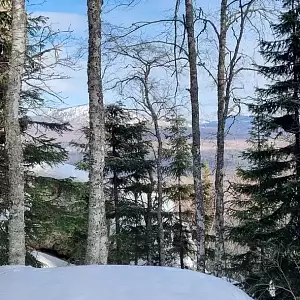 Фото отзыва