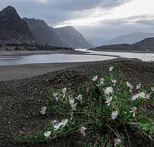 ополнительное фото тура 