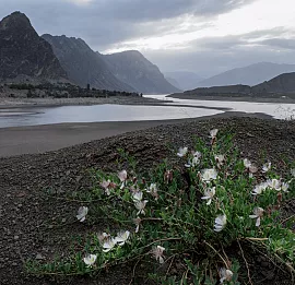 Тур "Волшебство средиземья"