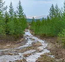 ополнительное фото тура 