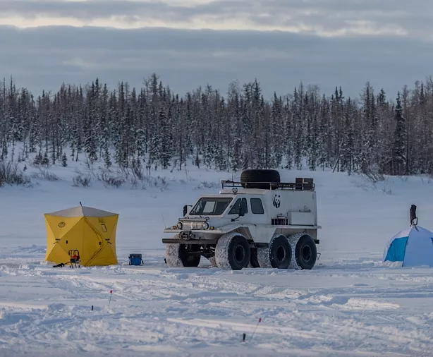 Изображение статьи Путешествие на Ямал: как добраться, что посмотреть, когда лучше ехать Туры России
