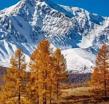 ополнительное фото тура 