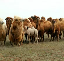 ополнительное фото тура 