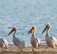 ополнительное фото тура 