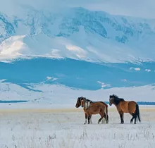 ополнительное фото тура 