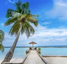 Фото дня 7 тура Туры на Мальдивы из Москвы 