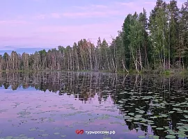 Карелия