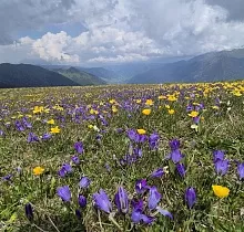 ополнительное фото тура 