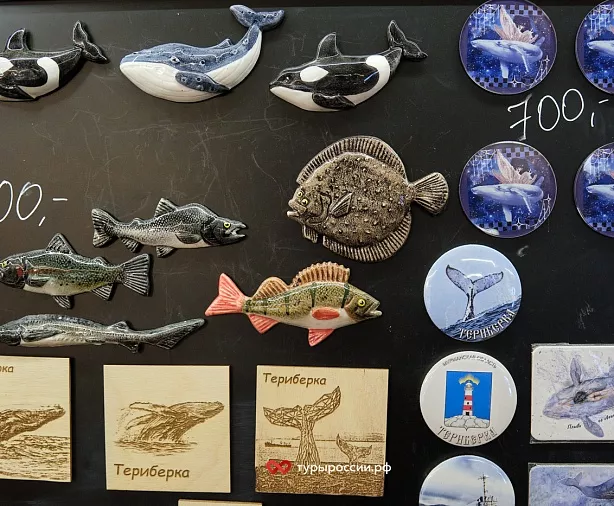 Изображение статьи Отдых в Териберке: как добраться, где жить, что посмотреть Туры России