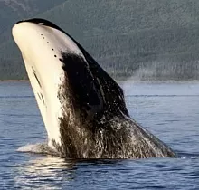 ополнительное фото тура 