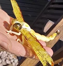 ополнительное фото тура 