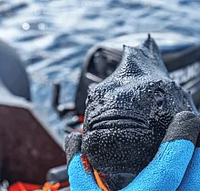 ополнительное фото тура 