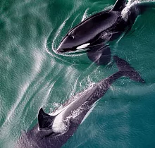 ополнительное фото тура 