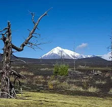 ополнительное фото тура 