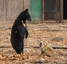 ополнительное фото тура 