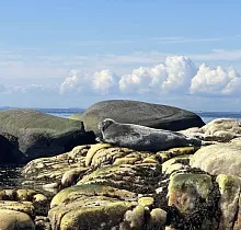 ополнительное фото тура 