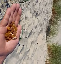 ополнительное фото тура 