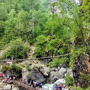 Фото отзыва