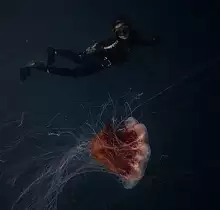ополнительное фото тура 