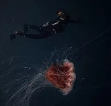 ополнительное фото тура 