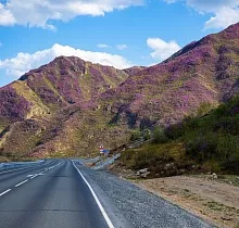 ополнительное фото тура 