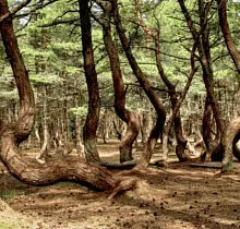 ополнительное фото тура 