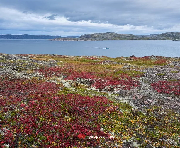 Изображение статьи Отдых в Териберке: как добраться, где жить, что посмотреть Туры России